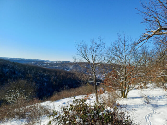 Zimní brigáda ČSOP Křivatec